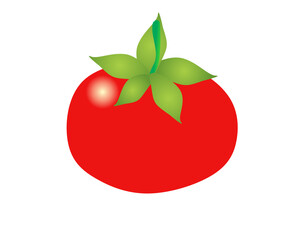 illustration of a red tomato isolated on white , Tomato vector. Tomato on white background. Tomato vector in cartoon style