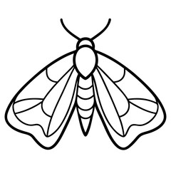 Minimalist Moth Sketch