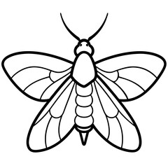 Minimalist Moth Sketch