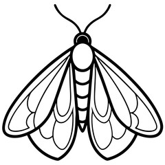 Minimalist Moth Sketch