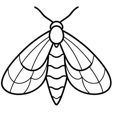 black and white moth outline clip art preview