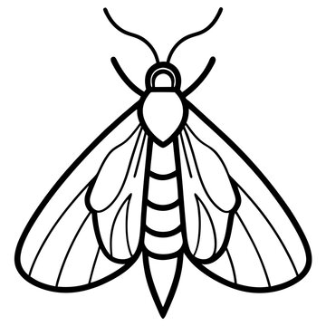 black and white moth outline clip art preview