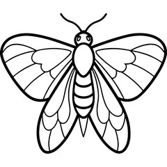 Minimalist Moth Sketch