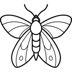 Minimalist Moth Sketch