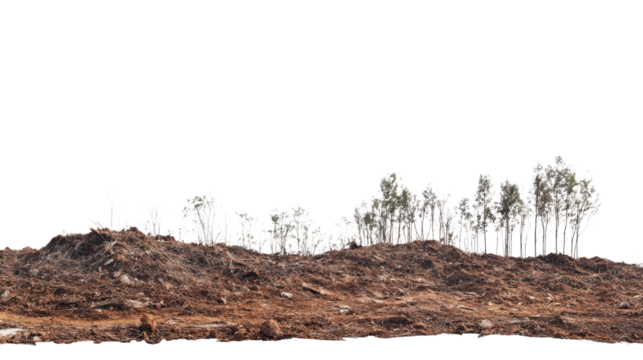 Barren Landscape: A desolate scene showcasing a stretch of barren earth, where life struggles to take hold, captured with sharp detail and evokes a sense of resilience amidst adversity.