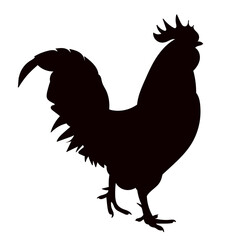 silhouette of a rooster on a white background, vector