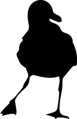 seagull silhouette on white background, vector