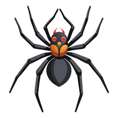 spider vector