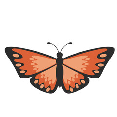 Adorable Butterfly Illustration