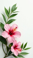 Delicate hibiscus blossoms & palm leaves on white , pattern, summer print, nature