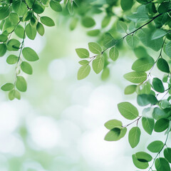 Fototapeta premium Blurred green leaves in the foreground frame an open white space in the center, creating a fresh and natural airy composition