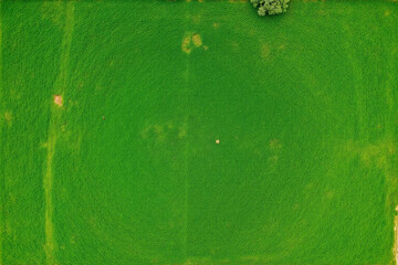 aerial view of green grassy field with dirt patches from top