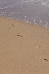 Footprints in the Sand: A tranquil beach scene with footprints leading towards gentle waves. The sun-kissed sand invites exploration.