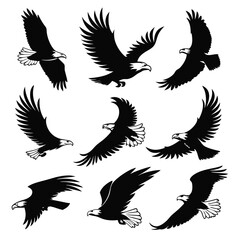 Fototapeta premium Eagle Silhouettes: Vector Set of Flying Bald Eagles, Bird of Prey Illustrations, Patriotic Symbol, Black and White Graphic Designs