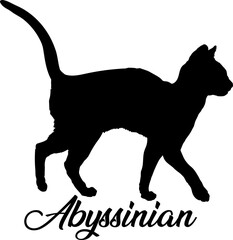 Abyssinian cat silhouette, cat, cat breeds, logo, vector, silhouette,  animal, illustration, icon, sign, design, black, symbol, pet, love
