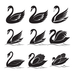 Black Swan Vector Silhouettes: Elegant Swan Illustrations, Graphic Design Elements, Bird Icon Set, Wildlife Art, Vector Graphics