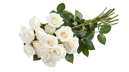 Obraz premium A beautiful bouquet of white roses showcasing delicate petals and lush green leaves, perfect for any occasion.