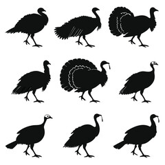 Turkey Silhouette Vector Art: Thanksgiving Bird Graphics, Black & White Turkey Illustrations, Farm Animal Clipart, Thanksgiving Design Elements