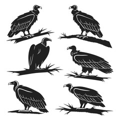 Black Silhouette Vulture Illustrations: Vector Set of Predatory Birds on Branches, Wildlife Graphics, Animal Clip Art for Design Projects