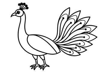 Modern Peacock Line Drawing