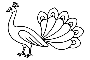 Modern Peacock Line Drawing