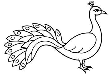 Modern Peacock Line Drawing