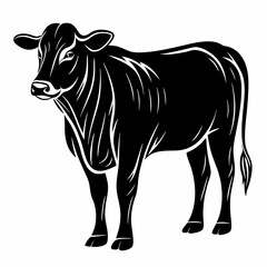 Black Angus Cow Vector Illustration: Farm Animal Clipart, Livestock Graphic, Cattle Breed Drawing, Agricultural Design Element