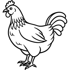 Modern Rooster Line Art