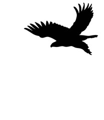 flying bird silhouette