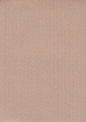 Fototapeta premium 質感のある茶色い紙