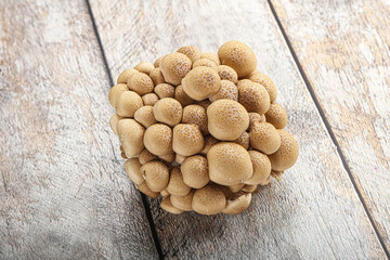 Raw asiam delicacy mushroom Shimeji