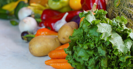 melons, watermelons and various vegetables are planted