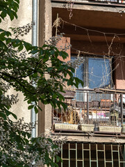 Balcony with a tree in the background and a spider web hanging from the window
