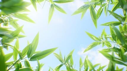 Obraz premium Bright Sunlight Through Lush Green Leaves Against a Blue Sky