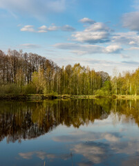 Calm lake with trees in the background