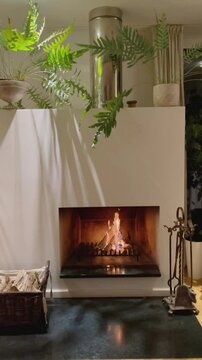 Fire in a modern fireplace 