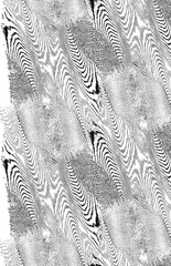 white fern background