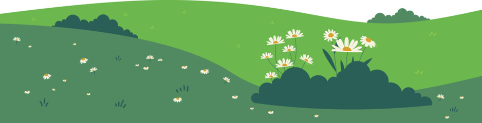 Obraz premium Green Hill with Daisies