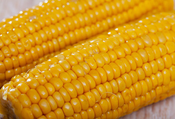 Delicious sweet boiled corn cobs on plate. Healthy food concept