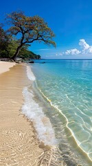 Vacation background, tropical beach with crystal clear water, golden sand and vegetation.