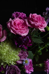 Dramatic Pink Roses on a Black Background