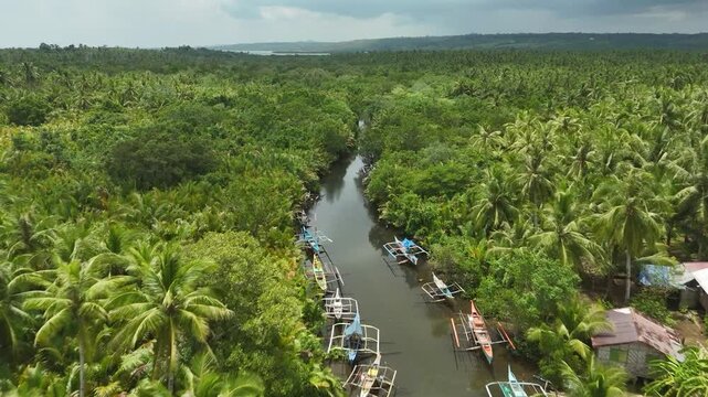 Serene River Journey through Eastern Samar's Coconut Paradise: Aerial View with Boats