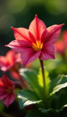 Fototapeta premium Close-up of bright lobelia in a sunny flowerbed Ample copy space , daytime, green