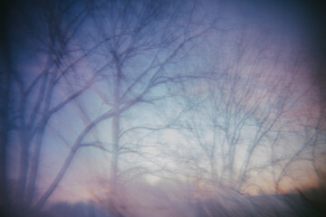 Abstract Winter Landscape with Soft Focus and Intentional Blur