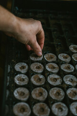 Preparing Seed Starting Trays for New Plants