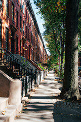 Charming tree-lined street in Boerum Hill featuring classic brow