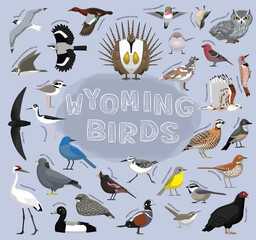 Fototapeta premium State Birds Wyoming Set Vector Illustration