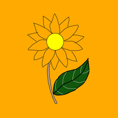 vector illustration of a sunflower