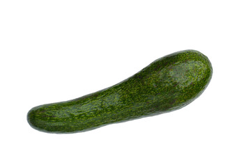 Long avocado fruit, Fresh long neck avocado