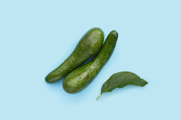 Long avocado fruit, Fresh long neck avocado